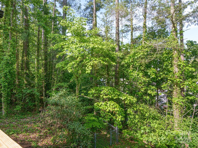 23 Leisure Mountain Rd, Asheville, NC 28804 - photo 39