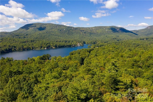 27 Hawk Mountain Rd Unit 27, Lake Toxaway, NC 28747