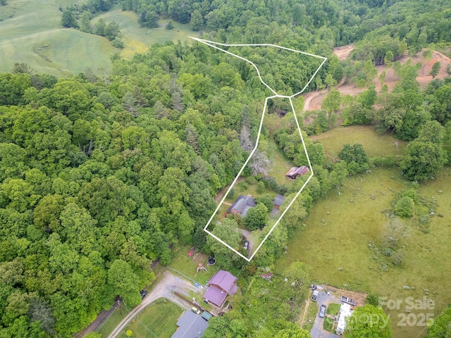 181 Settlers Ln, Waynesville, NC 28785 - aerial overview of property's location featuring a forest and property boundaries highlighted