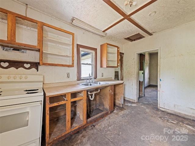 1224 Phillipsville Loop, Canton, NC 28716 - kitchen featuring white range with electric stovetop, a sink, light countertops, unfinished concrete floors, and glass insert cabinets