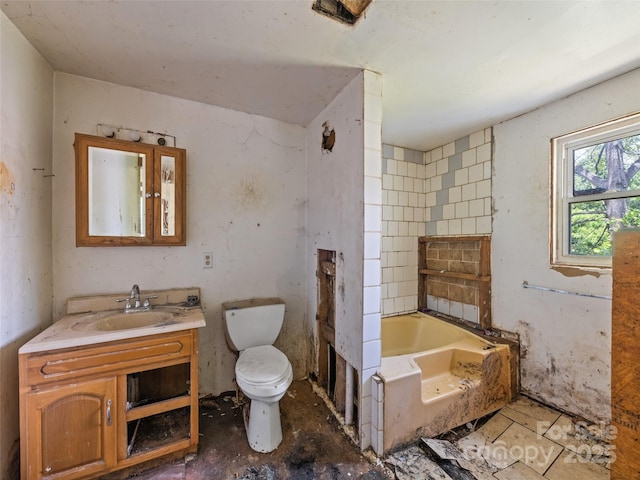 1224 Phillipsville Loop, Canton, NC 28716 - full bath featuring a bathtub, toilet, and vanity