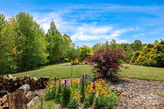 2912 Windswept Ridge Rd, Marshall, NC 28753 - view of green lawn
