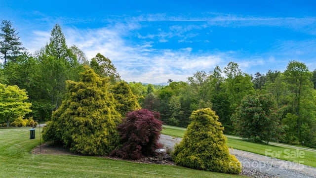 2912 Windswept Ridge Rd, Marshall, NC 28753 - view of community featuring a yard and a forest view