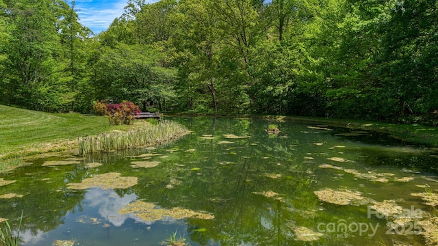 2912 Windswept Ridge Rd, Marshall, NC 28753 - view of yard featuring a wooded view