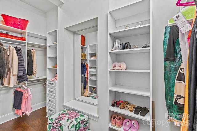9750 Briarwick Ln, Charlotte, NC 28277 - spacious closet featuring dark wood-style flooring