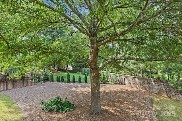 9750 Briarwick Ln, Charlotte, NC 28277 - view of yard