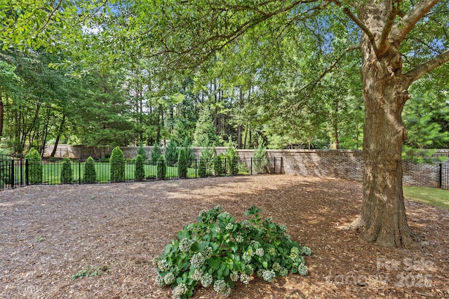 9750 Briarwick Ln, Charlotte, NC 28277 - view of fenced backyard