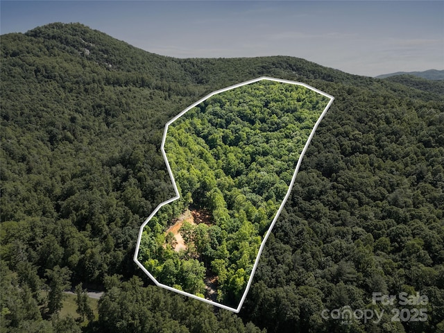 371 Boone Gap Ln, Taylorsville, NC 28681