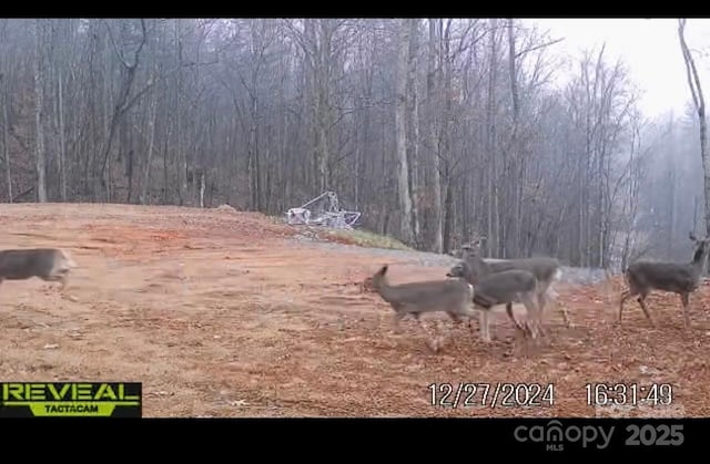 371 Boone Gap Ln, Taylorsville, NC 28681