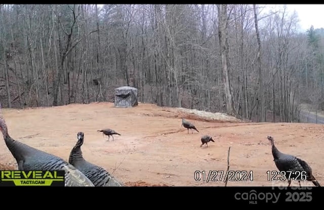 371 Boone Gap Ln, Taylorsville, NC 28681