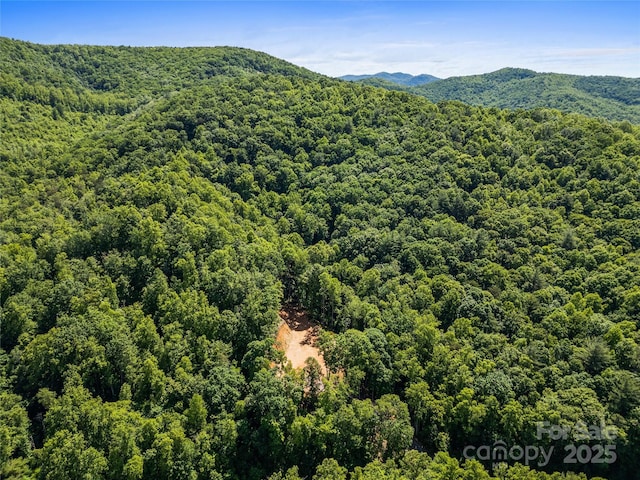371 Boone Gap Ln, Taylorsville, NC 28681