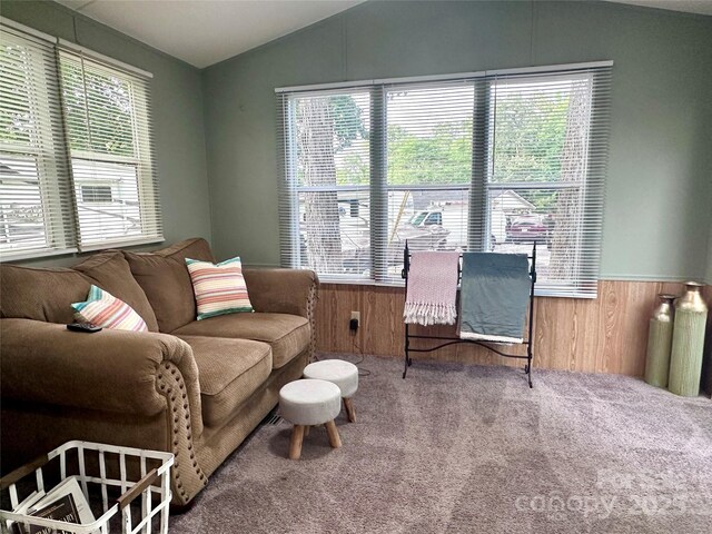 108 Sailors Ct Unit 108B, Mount Gilead, NC 27306 - carpeted living room with vaulted ceiling, wooden walls, plenty of natural light, and a wainscoted wall