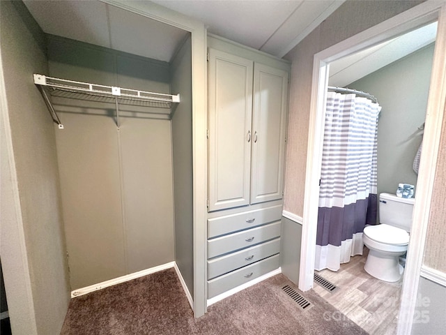108 Sailors Ct Unit 108B, Mount Gilead, NC 27306 - view of closet