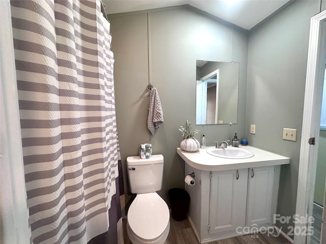 108 Sailors Ct Unit 108B, Mount Gilead, NC 27306 - bathroom with toilet, wood finished floors, vaulted ceiling, vanity, and curtained shower