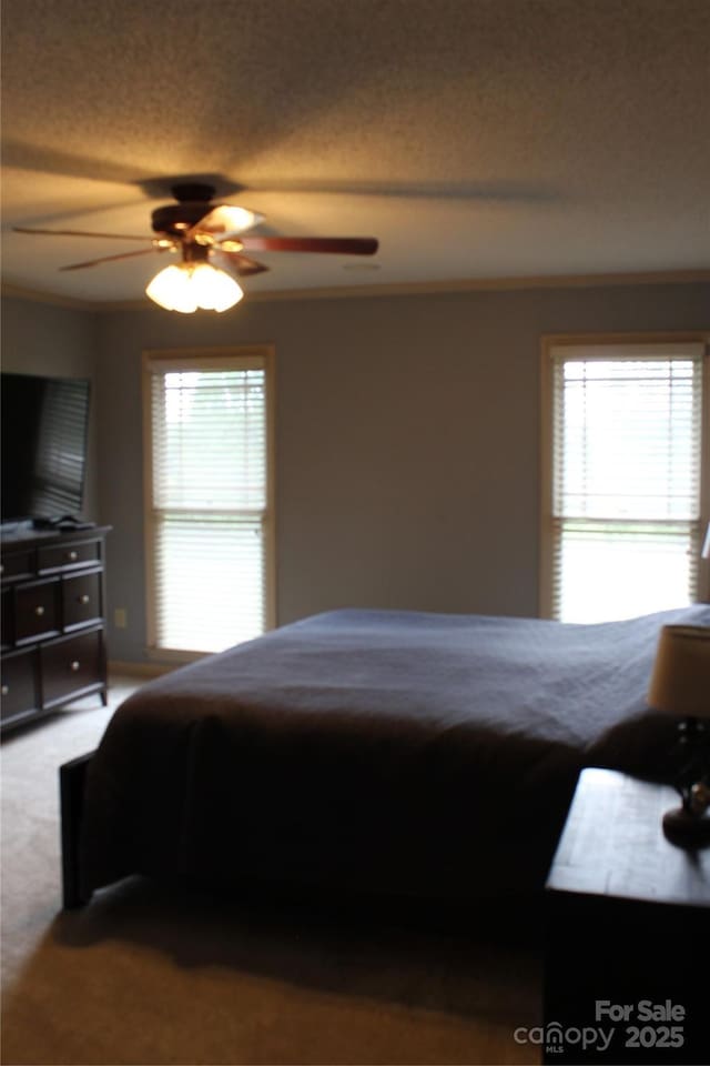 1351 Hardin Rd, Dallas, NC 28034 - carpeted bedroom featuring multiple windows and ceiling fan