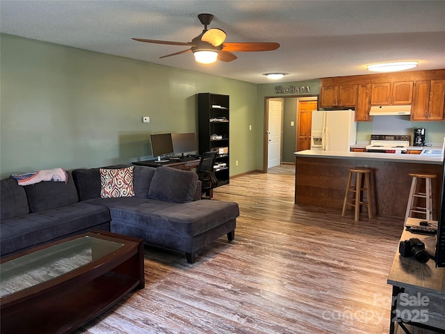 1351 Hardin Rd, Dallas, NC 28034 - living room featuring light wood finished floors, ceiling fan, and a textured ceiling