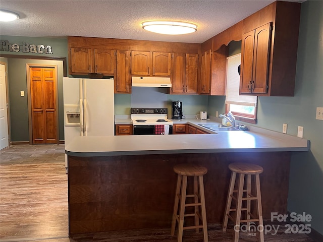 1351 Hardin Rd, Dallas, NC 28034 - kitchen with electric range, under cabinet range hood, a sink, a textured ceiling, and a peninsula