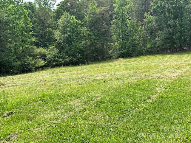 1896 Green Creek Dr E, Tryon, NC 28782 - view of yard featuring a wooded view