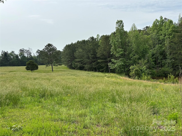 1896 Green Creek Dr E, Tryon, NC 28782 - view of woods with a rural view