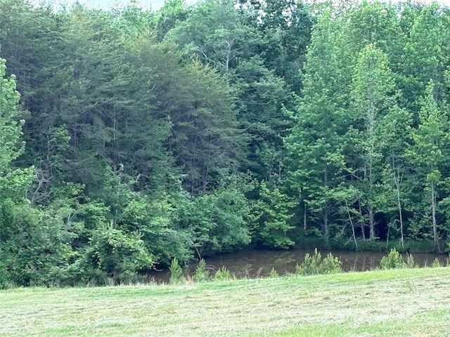 1896 Green Creek Dr E, Tryon, NC 28782 - view of wooded area