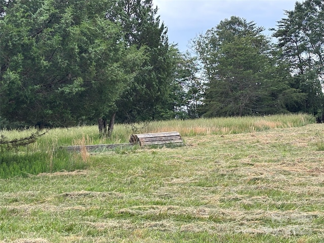 1896 Green Creek Dr E, Tryon, NC 28782 - view of yard