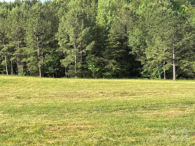1896 Green Creek Dr E, Tryon, NC 28782 - view of grassy yard with a forest view