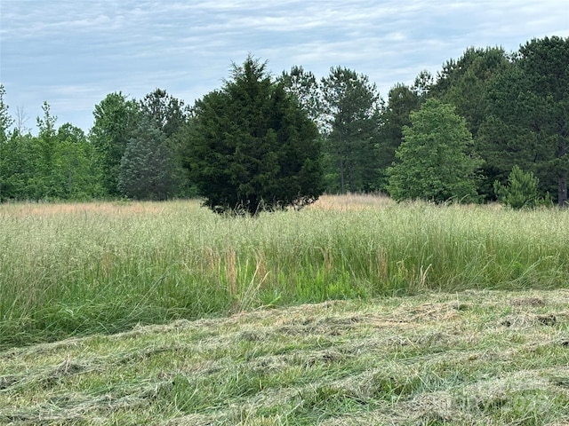1896 Green Creek Dr E, Tryon, NC 28782 - view of wooded area