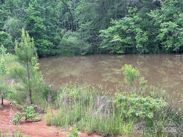 1896 Green Creek Dr E, Tryon, NC 28782 - water view featuring a forest