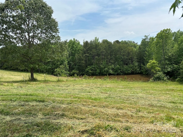 1896 Green Creek Dr E, Tryon, NC 28782 - view of yard featuring a wooded view