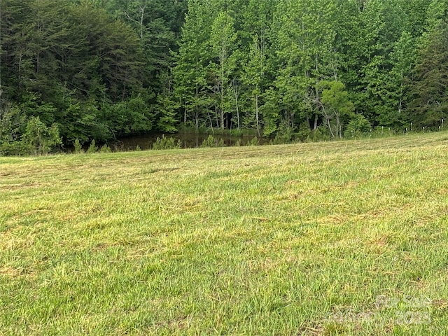 1896 Green Creek Dr E, Tryon, NC 28782 - view of wooded area