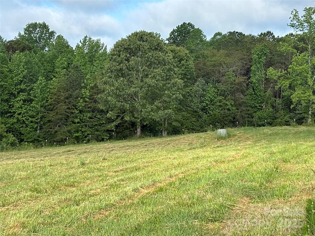 1896 Green Creek Dr E, Tryon, NC 28782 - view of yard with a forest view