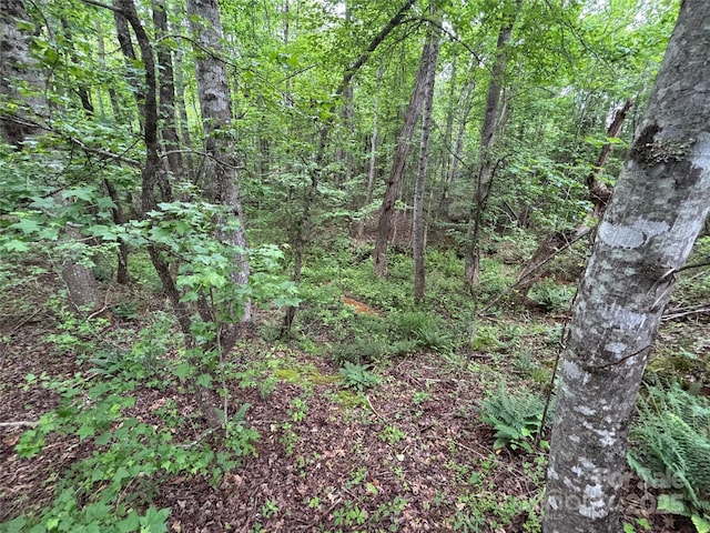 1896 Green Creek Dr E, Tryon, NC 28782 - view of wooded area