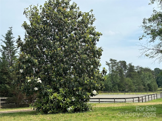 1896 Green Creek Dr E, Tryon, NC 28782 - view of yard