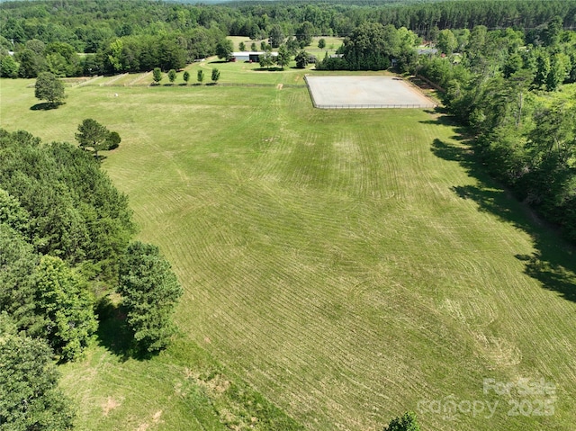 1896 Green Creek Dr E, Tryon, NC 28782 - photo 3