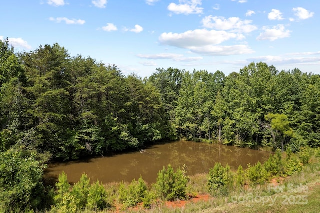 1896 Green Creek Dr E, Tryon, NC 28782 - photo 37