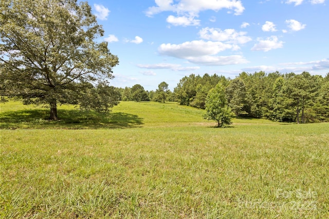 1896 Green Creek Dr E, Tryon, NC 28782 - photo 39