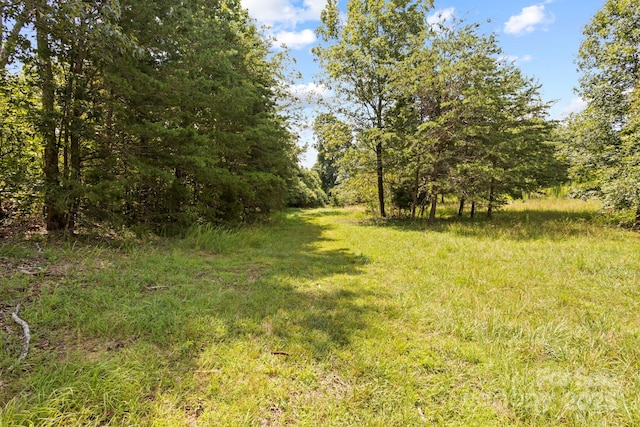 1896 Green Creek Dr E, Tryon, NC 28782 - photo 40