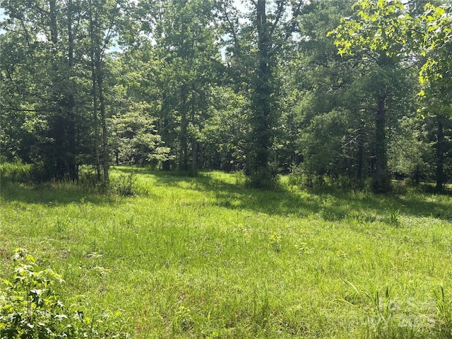 1896 Green Creek Dr E, Tryon, NC 28782 - photo 18