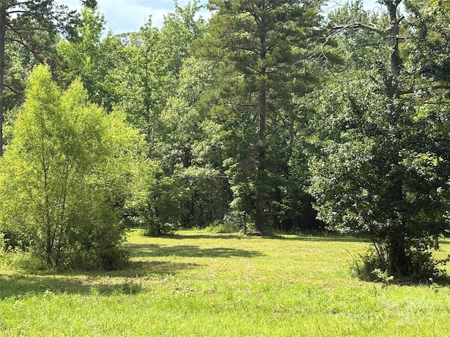 1896 Green Creek Dr E, Tryon, NC 28782 - photo 19