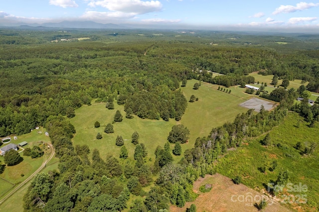1896 Green Creek Dr E, Tryon, NC 28782 - photo 20