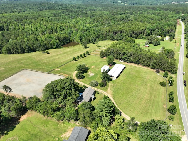 1896 Green Creek Dr E, Tryon, NC 28782 - photo 1