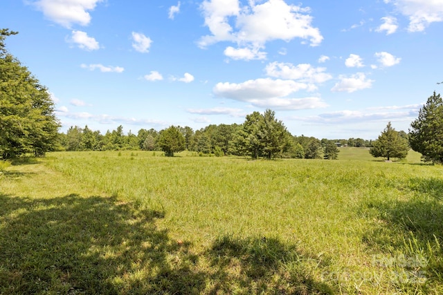 1896 Green Creek Dr E, Tryon, NC 28782 - photo 42