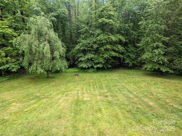 view of green lawn