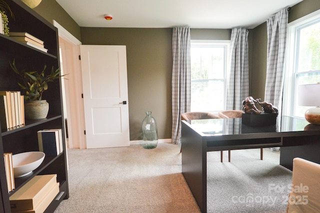 106 Sugg Trl, Weaverville, NC 28787 - carpeted office with baseboards