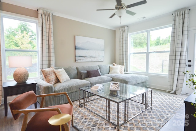 106 Sugg Trl, Weaverville, NC 28787 - living room with ceiling fan, healthy amount of natural light, wood finished floors, and crown molding