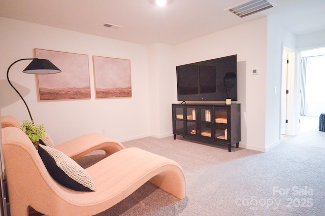 106 Sugg Trl, Weaverville, NC 28787 - sitting room with carpet floors and baseboards