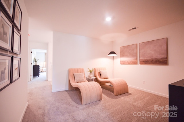 106 Sugg Trl, Weaverville, NC 28787 - photo 20