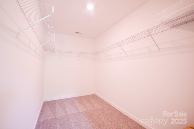 106 Sugg Trl, Weaverville, NC 28787 - photo 34