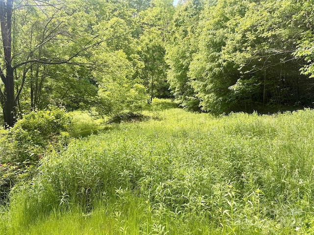 321 Mount Keys Dr, Bryson City, NC 28713 - photo 2