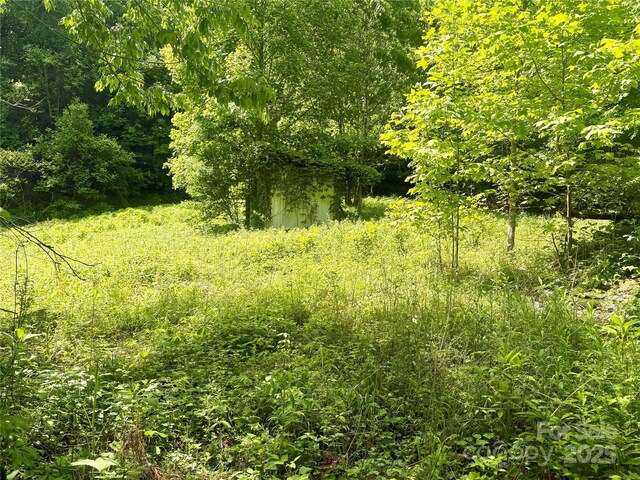 321 Mount Keys Dr, Bryson City, NC 28713 - photo 4